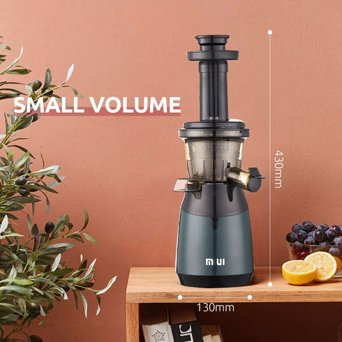 Electric Juicer